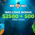 mr bet casino auszahlung